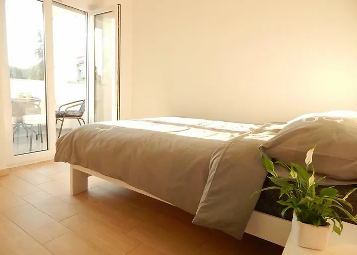 게스트하우스 Mira 3*